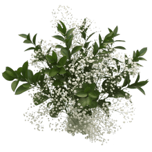 Baby's Breath & Ruscus Leaves