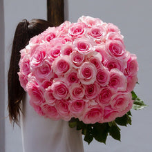 Exquisite Roses + Baby's Breath [Newsletter Exclusive]
